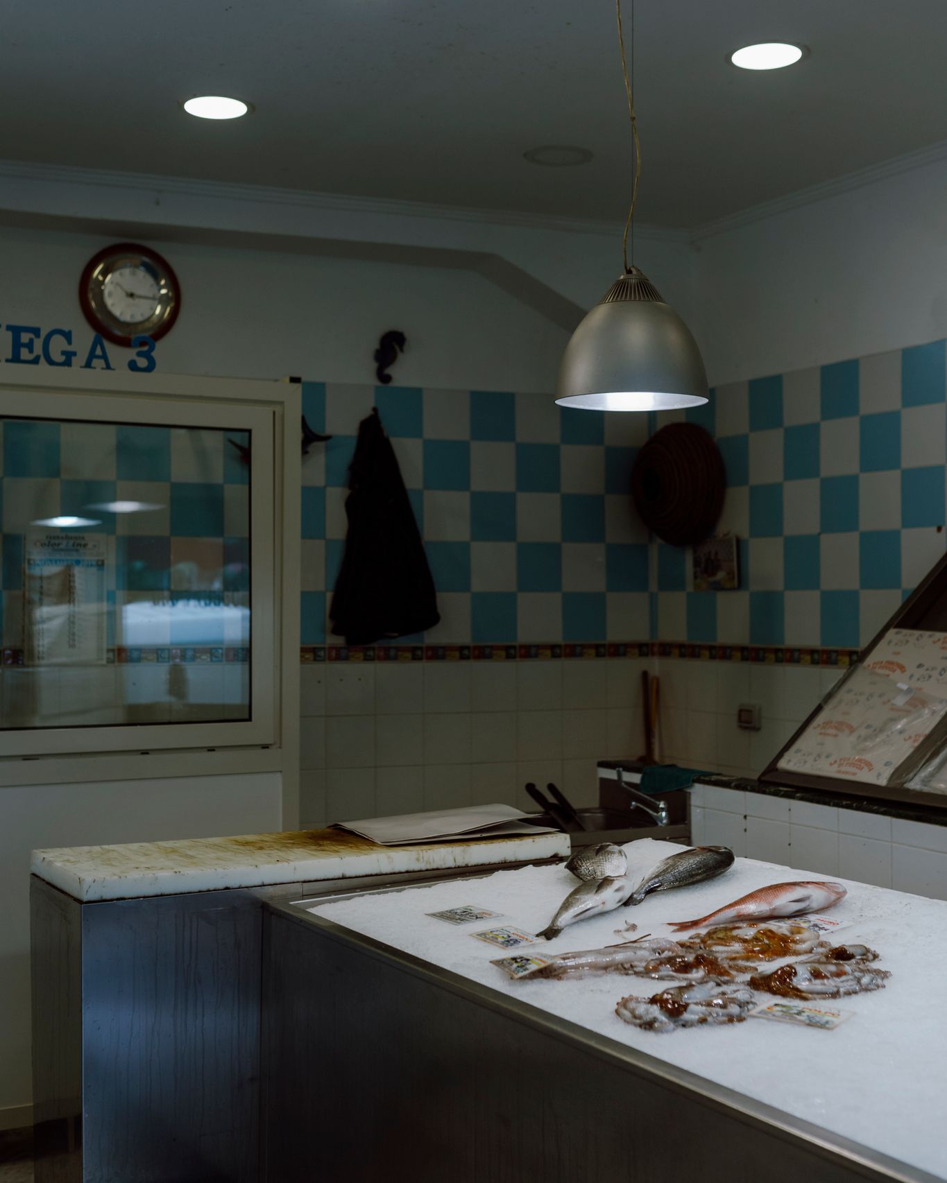 Fish counter