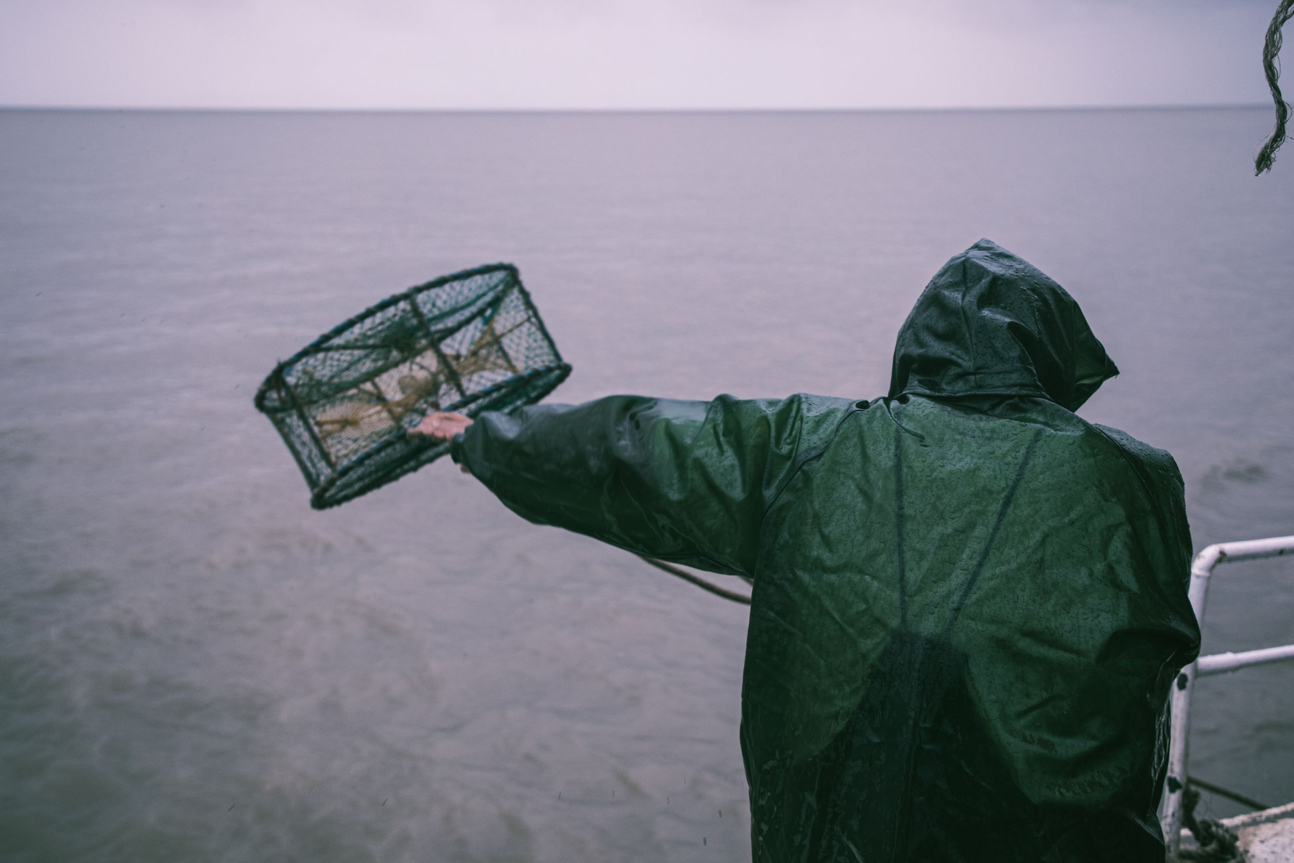 Fisherman handling a trap